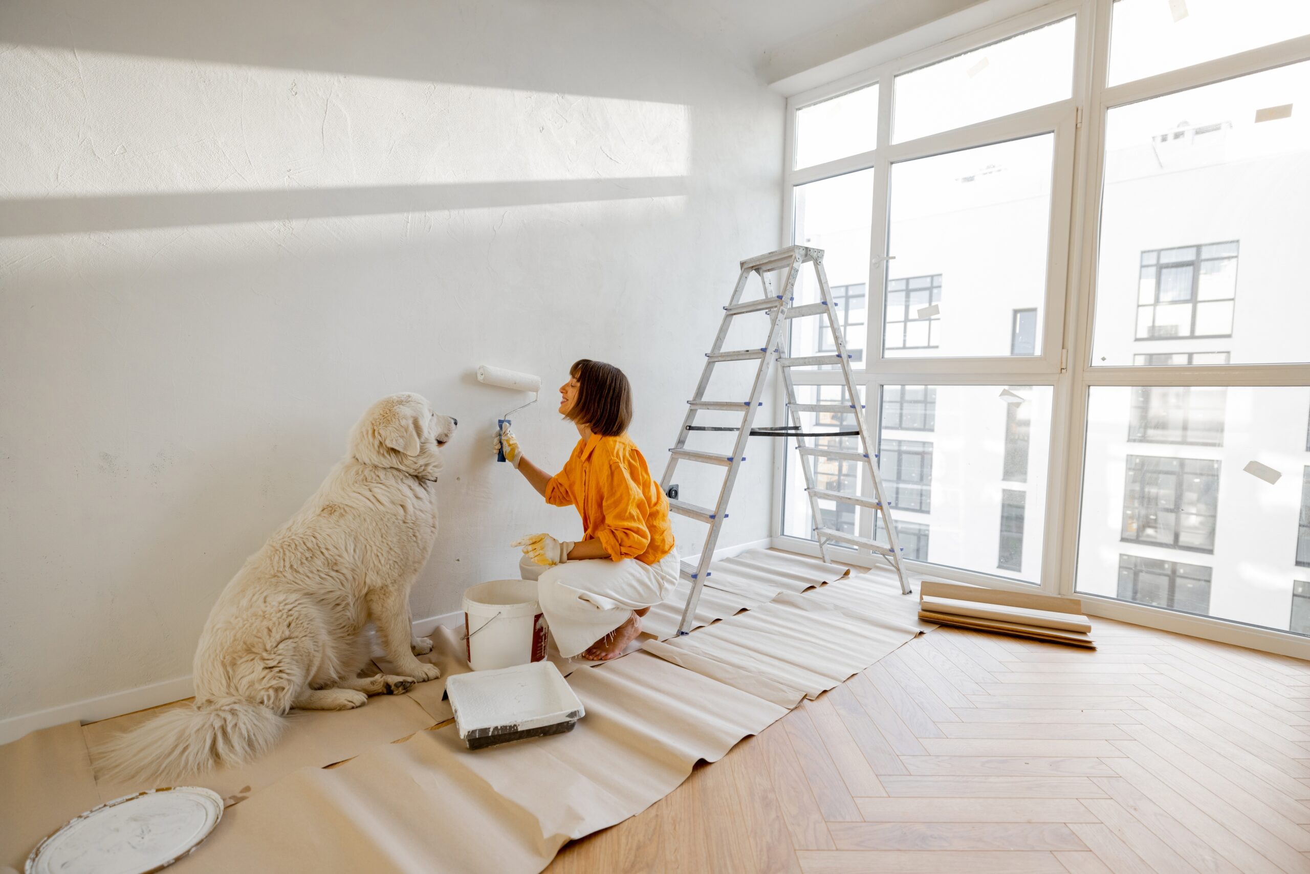 Renovation Progress Update: Transforming the Property from Start to Finish